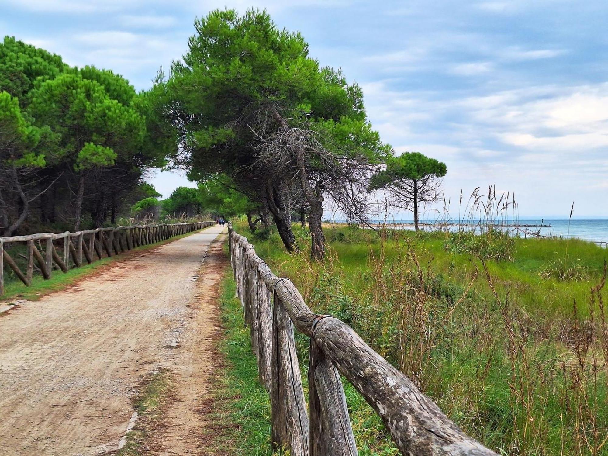 One Bedroom Coastal Gem - Beahost Appartamento
